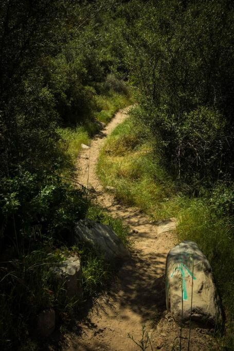 Sisar Creek Sanctuary * Santa Paula
