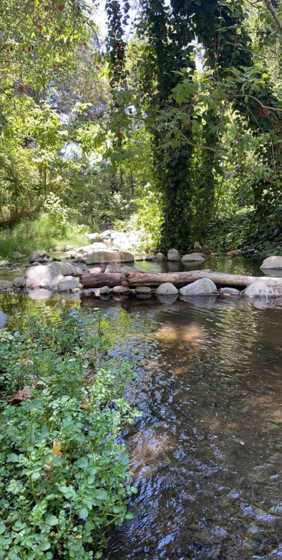 Casa vacanze Sisar Creek Sanctuary *